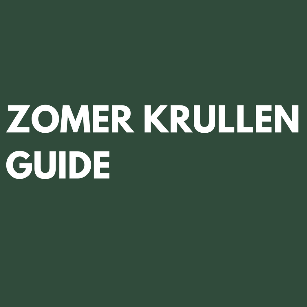 Jouw ultieme gids voor stralende krullen deze zomer